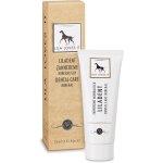 Asfasfq - dentifrice pour chiens - nettoyage naturel des dents avec huile de coco, curcuma, extrait de ... Asfasfq - dentifrice pour chiens - nettoyage naturel des dents avec huile de coco, curcuma, extrait de ...