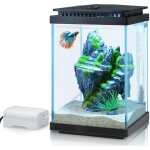 Asfasfq - kit aquarium en verre 4l, réservoir betta, kit de démarrage pour mini aquarium, avec pompe ... Asfasfq - kit aquarium en verre 4l, réservoir betta, kit de démarrage pour mini aquarium, avec pompe ...
