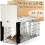 Asfasfq - pige a rats vivante 41 cm - xxl pige loir - respectueux des animaux & rutilisable - prt ...