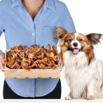 Asfasfq - strips dâ¿oreilles de porc pour chiens 1kg (environ 55â¿65 pièces) friandises naturelles a ... Asfasfq - strips dâ¿oreilles de porc pour chiens 1kg (environ 55â¿65 pièces) friandises naturelles a ...