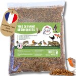 Asfasfq - vers de farine pour poules, oiseaux, hamster, reptiles - schs et elevs en france - riche ...