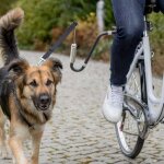 Attache de vlo pour chien en u et , ou fixation de tige de selle pour support en u fixation de tige ...