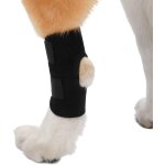 Attelle de jambe pour chien - protection du coude - bandage de protection de la jambe pour chien pour ...