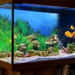 Autocollant de fond d'aquarium 3d double face, autocollant mural de d�cor de r�servoir de poissons, diy ...