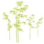 Autocollant mural bambou
