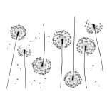 Autocollants de vitre pissenlits