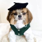 Béret de peintre ajustable coloré a la mode pour chien, accessoire photographique pour petit chien, chiot, ... Béret de peintre ajustable coloré a la mode pour chien, accessoire photographique pour petit chien, chiot, ...