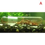Bac a aliments en verre, 1 / 2 / 3 trous, escargot, pige a sangsue, bote a stylo, aquarium, crevettes, ...