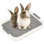 Bac a litire pour lapin, bac a litire pour lapin, litire, grand coin de toilette pour petits animaux, ...