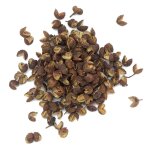 Baies du bhoutan - verrine 20 g