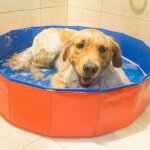 Baignoire pliable en pvc pour animaux meuble pour animaux domestiques bassin pour chiens chats chiot ...