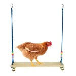 Balan�oire perroquet avec clochettes, crochet m�tallique, plate - forme en bois, accessoires de poulailler, ...