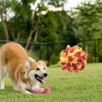 Balle a renifler pour chien, mangeoire a distribution lente, jeu d'entra�nement pour animaux de compagnie, ...