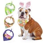Bandana pour animaux de compagnie, 3 pi�ces, a la mode, mignon, echarpe pour chien, collier pour chat, ...