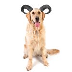 Bandeau d'halloween en corne pour animal de compagnie, mignon, cr�atif, costume pour chien, pour f�te ...