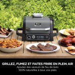 Barbecue �lectrique - ninja - woodfire - og701eu - grill, fumoir & air fryer - antiadh�sif - gris et ...