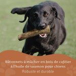 B�ton a m�cher en bois de caf� avec huile de saumon pour chiens - jouet naturel pour nettoyer les dents, ...