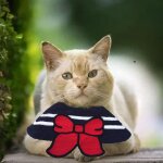 Bavoirs pour chat et chien, echarpe, collier rglable pour animal de compagnie, mignon, en forme de coeur ...