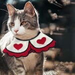 Bavoirs pour chat et chien, echarpe, collier rglable, mignon, en forme de coeur (c?ur rouge l)