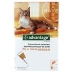Bayer advantage 40 solution antipuce pour chats?