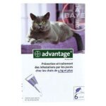 Bayer advantage 80 solution antipuce pour chats. . .