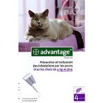 Bayer advantage 80 solution antipuce pour chats de