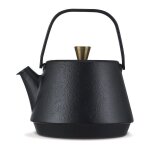 Beka - theiere fonte saga 1l2 induction 16409324