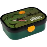 Bento mepal campus dino
