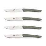 Berkel set 4 couteaux a steak vert