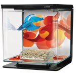 Betta art deco starter kit aquarium 2 l Betta art deco starter kit aquarium 2 l