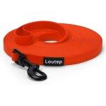 Biothane laisse longue pour chien 3 m 5 m 10 m pour chien 15 m 20 m laisse de ski de fond laisse d'entraînemen ... Biothane laisse longue pour chien 3 m 5 m 10 m pour chien 15 m 20 m laisse de ski de fond laisse d'entraînemen ...
