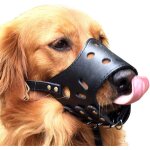 Black, m museliere pour chiens musoli�re chien museau pour petit chien museau pour moyen chiens doux ...