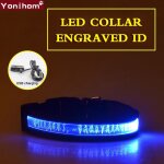 Blue usb chargeable - xl 52 - 60 - collier led personnalis pour chien et chat, rechargeable par usb, ...
