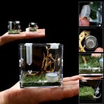 Bo�te d'�levage d'araign�es transparente, vue compl�te, ventilation d'alimentation sup�rieure, cage d'aquarium ...