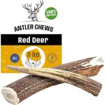 Bois de cerf elaphe xxl hard 1 pi�ce 100% naturel b�tonnets jouets a m�cher naturels pour chien, m�cher ...