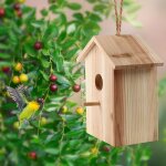 Bois oiseaux nids extérieur ventouse visible oiseau maison jardin fenêtre nichoir extérieur oiseau cage ... Bois oiseaux nids extérieur ventouse visible oiseau maison jardin fenêtre nichoir extérieur oiseau cage ...