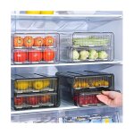 Bote a ?ufs double couche transparente pour animaux de compagnie, kit rfrigrateur, bac a lgumes, ...