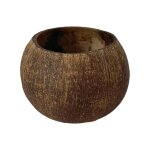 Bols a bonbons en coquille d'ampli pour salon, porte - bougie, bol de rangement esth�tique, all match ...