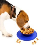 Bol en gel de silice pliable pour chien et chat, bol dow en silicone, couleur bonbon, voyage en plein ...