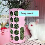 Bol a support fixe en bois pour lapin, chinchilla, cage a cochon d'inde, alimentation