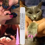 Bon66 couvre - ongles de chien de chat griffe pattes? protecteur de gel souple? colle adh�sive