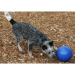 Boomer ball pour chien d�signation : boomer ball taille : 11 cm morin import 750621