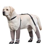 Bottes chauffantes antid�rapantes pour chiens de grande taille : protection des pattes m