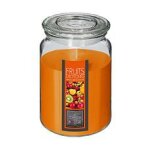 Bougie parfum�e fruits exotiques pot en verre 510 g