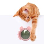 Boule d'herbe a chat naturelle, alimentation saine, balle d'nergie pour animaux de compagnie, bonbons ...