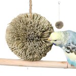 Boule de perroquet naturel pour perruches, jouet a mâcher, oiseau de recherche de nourriture, accessoires ... Boule de perroquet naturel pour perruches, jouet a mâcher, oiseau de recherche de nourriture, accessoires ...