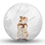 Boule de trot en plastique pour animal de compagnie, mini, accessoire de jeu, portable, color�, petit ...
