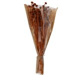 Bouquet fleurs sechees marguerite 55cm terracotta