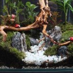Branches de bois flott� pour aquarium, 15cm, bonsa�, tronc en bois naturel, plante, souche, ornement ...