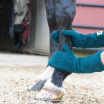 Brosse de bain en microfibre ultra absorbante, peigne de massage de toilettage, serviette de nettoyage ...